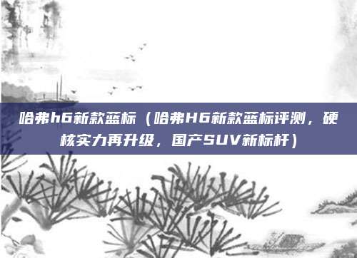 哈弗h6新款蓝标(哈弗H6新款蓝标评测,硬核实力再升级,国产SUV新标杆)