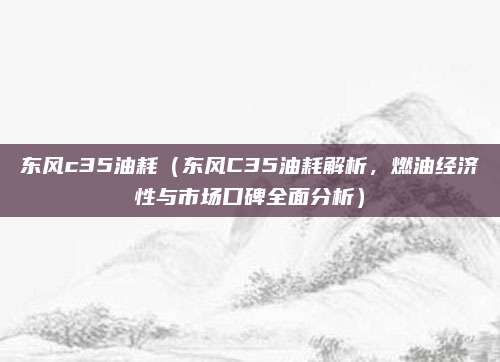 东风c35油耗(东风C35油耗解析,燃油经济性与市场口碑全面分析)