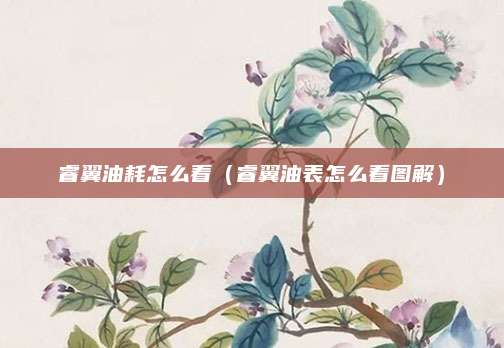 睿翼油耗怎么看(睿翼油表怎么看图解)