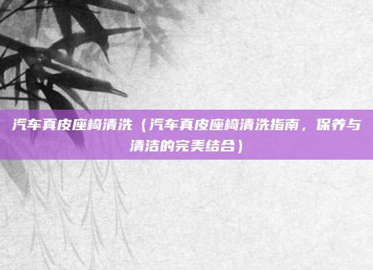汽车真皮座椅清洗(汽车真皮座椅清洗指南,保养与清洁的完美结合)