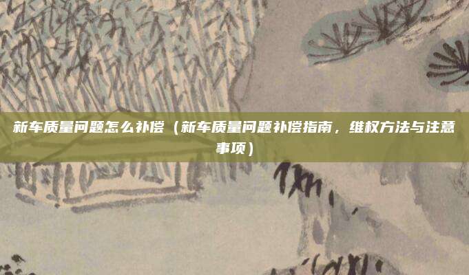 新车质量问题怎么补偿(新车质量问题补偿指南,维权方法与注意事项)