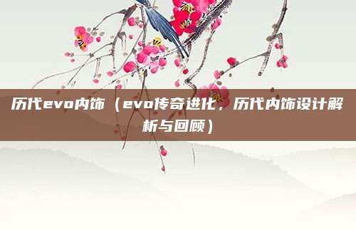 历代evo内饰(evo传奇进化,历代内饰设计解析与回顾)