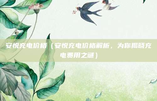 安悦充电价格(安悦充电价格解析,为你揭晓充电费用之谜)