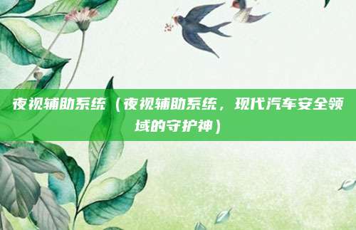 夜视辅助系统(夜视辅助系统,现代汽车安全领域的守护神)