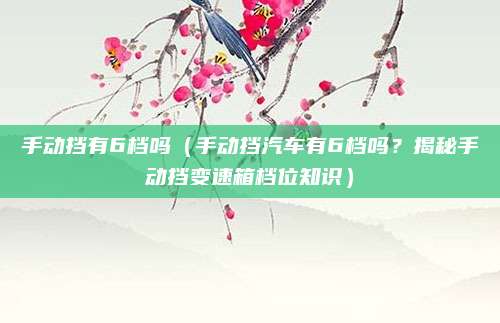 手动挡有6档吗(手动挡汽车有6档吗?揭秘手动挡变速箱档位知识)