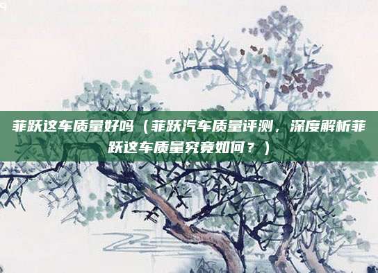菲跃这车质量好吗(菲跃汽车质量评测,深度解析菲跃这车质量究竟如何?)