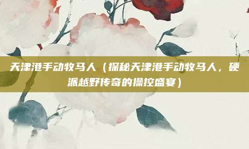 天津港手动牧马人(探秘天津港手动牧马人,硬派越野传奇的操控盛宴)