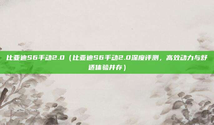 比亚迪S6手动2.0(比亚迪S6手动2.0深度评测,高效动力与舒适体验并存)