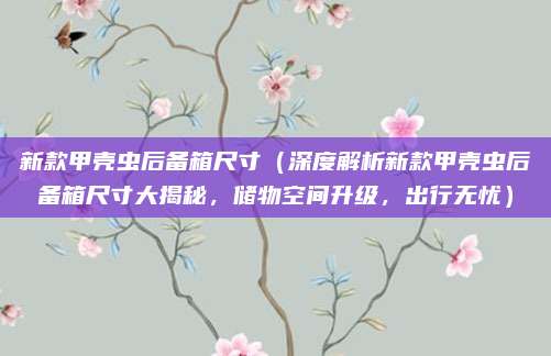 新款甲壳虫后备箱尺寸(深度解析新款甲壳虫后备箱尺寸大揭秘,储物空间升级,出行无忧)