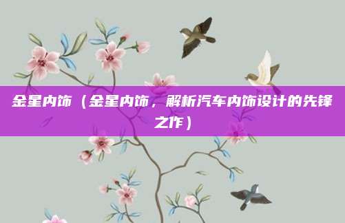 金星内饰(金星内饰,解析汽车内饰设计的先锋之作)
