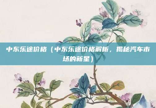 中东乐途价格(中东乐途价格解析,揭秘汽车市场的新星)