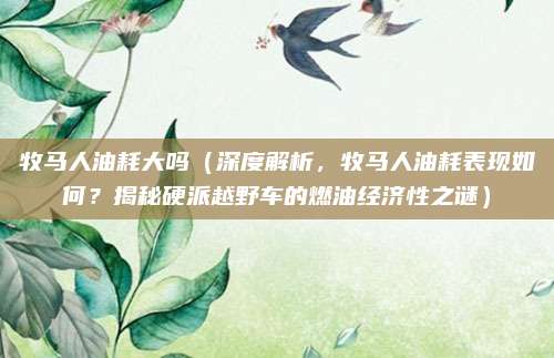 牧马人油耗大吗(深度解析,牧马人油耗表现如何?揭秘硬派越野车的燃油经济性之谜)