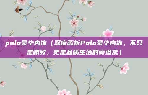 polo豪华内饰(深度解析Polo豪华内饰,不只是精致,更是品质生活的新追求)