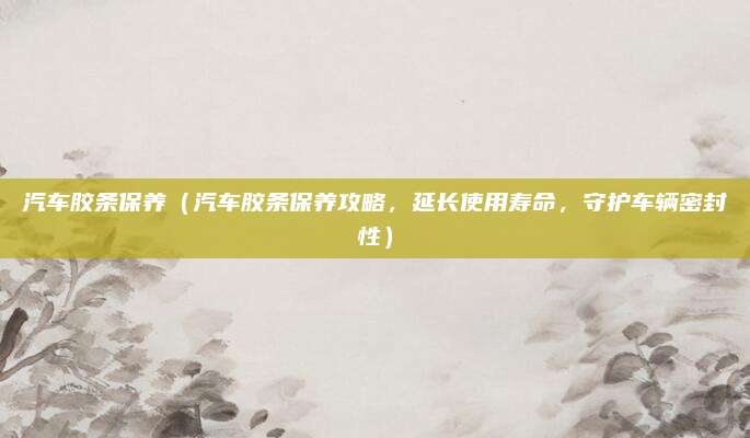 汽车胶条保养(汽车胶条保养攻略,延长使用寿命,守护车辆密封性)