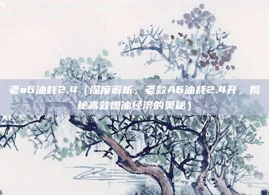 老a6油耗2.4(深度解析,老款A6油耗2.4升,揭秘高效燃油经济的奥秘)