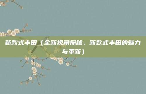 新款式丰田（全新视角探秘，新款式丰田的魅力与革新）