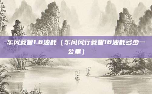 东风菱智1.6油耗(东风风行菱智16油耗多少一公里)