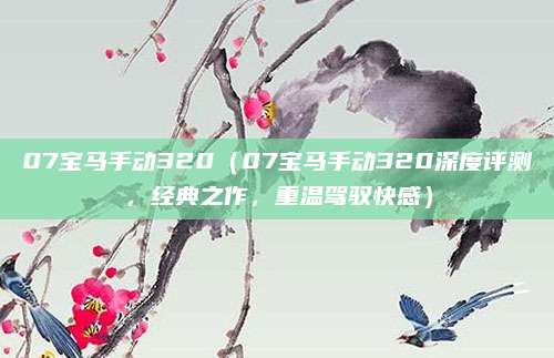 07宝马手动320(07宝马手动320深度评测,经典之作,重温驾驭快感)