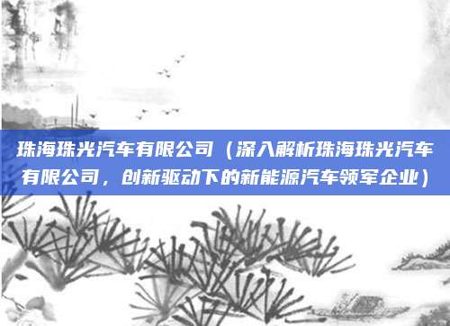 珠海珠光汽车有限公司(深入解析珠海珠光汽车有限公司,创新驱动下的新能源汽车领军企业)