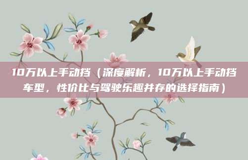10万以上手动挡(深度解析,10万以上手动挡车型,性价比与驾驶乐趣并存的选择指南)