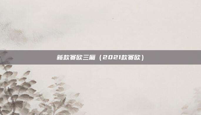 新款赛欧三厢(2021款赛欧)