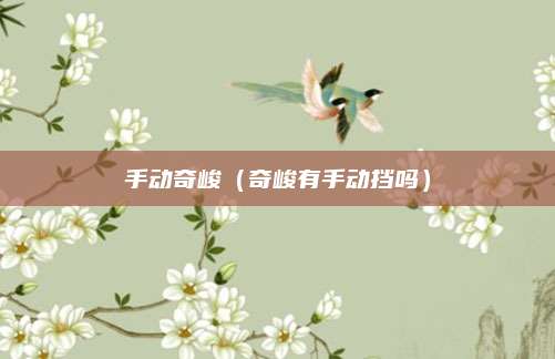 手动奇峻(奇峻有手动挡吗)