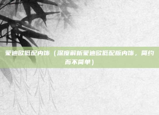 蒙迪欧低配内饰(深度解析蒙迪欧低配版内饰,简约而不简单)