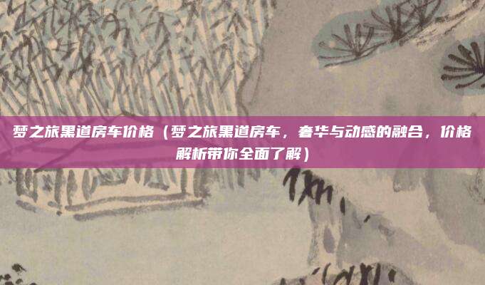梦之旅黑道房车价格(梦之旅黑道房车,奢华与动感的融合,价格解析带你全面了解)