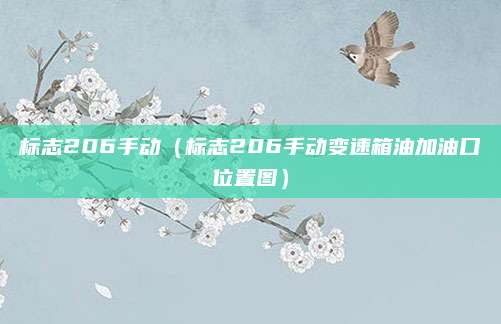 标志206手动(标志206手动变速箱油加油口位置图)