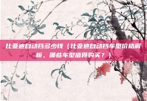 比亚迪自动挡多少钱(比亚迪自动挡车型价格解析,哪些车型值得购买?)