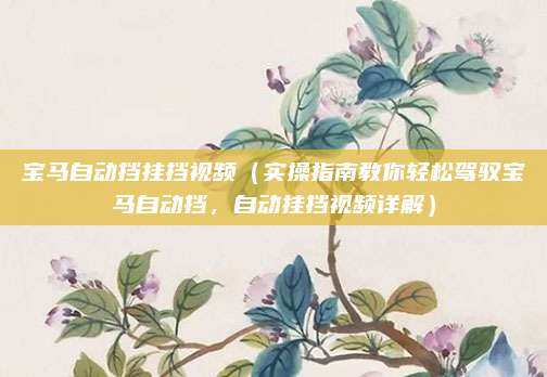 宝马自动挡挂挡视频(实操指南教你轻松驾驭宝马自动挡,自动挂挡视频详解)