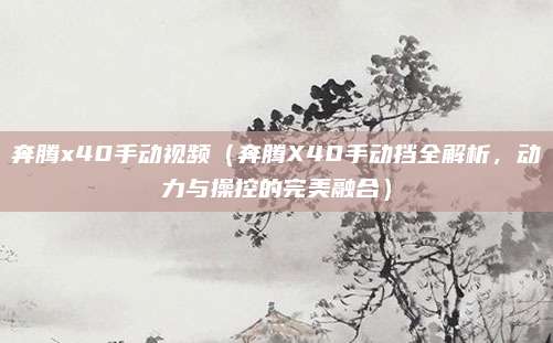 奔腾x40手动视频(奔腾X40手动挡全解析,动力与操控的完美融合)