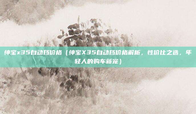 绅宝x35自动挡价格(绅宝X35自动挡价格解析,性价比之选,年轻人的购车新宠)
