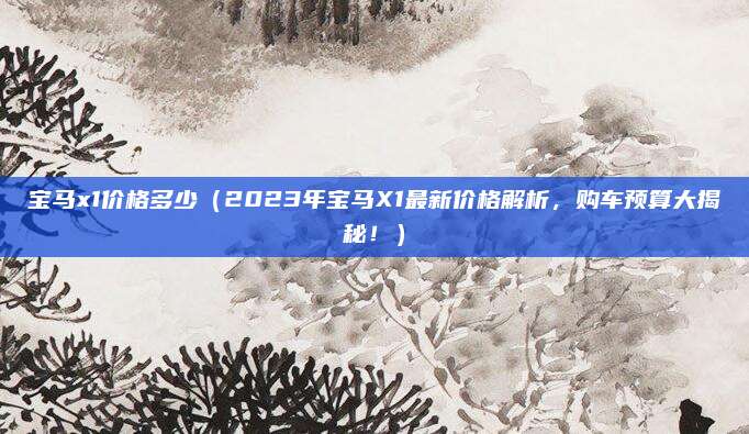 宝马x1价格多少（2023年宝马X1最新价格解析，购车预算大揭秘！）