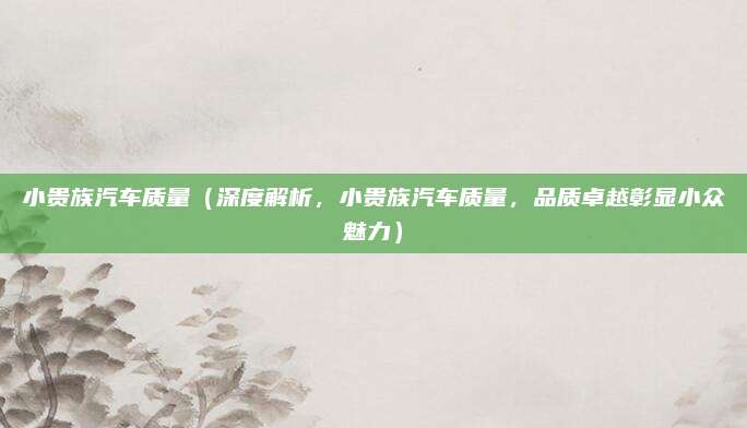 小贵族汽车质量(深度解析,小贵族汽车质量,品质卓越彰显小众魅力)