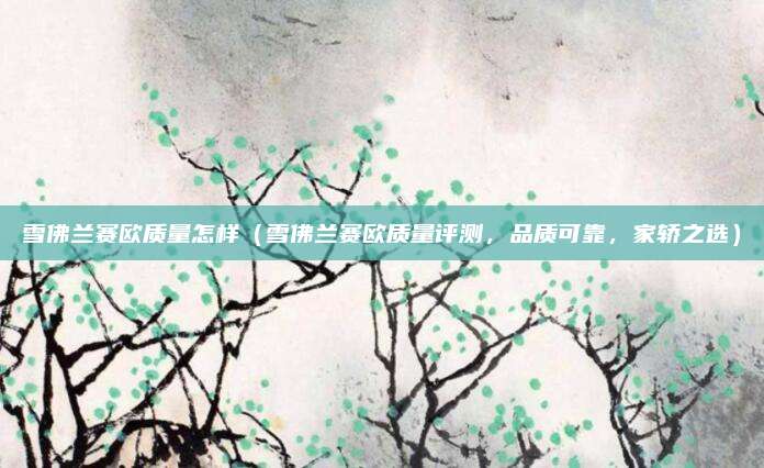雪佛兰赛欧质量怎样(雪佛兰赛欧质量评测,品质可靠,家轿之选)