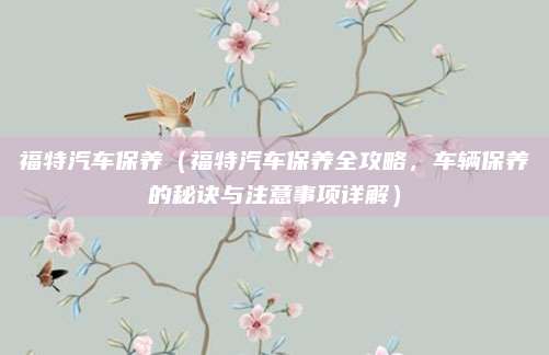 福特汽车保养(福特汽车保养全攻略,车辆保养的秘诀与注意事项详解)