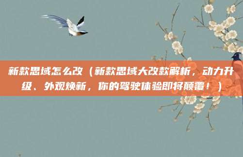 新款思域怎么改（新款思域大改款解析，动力升级、外观焕新，你的驾驶体验即将颠覆！）
