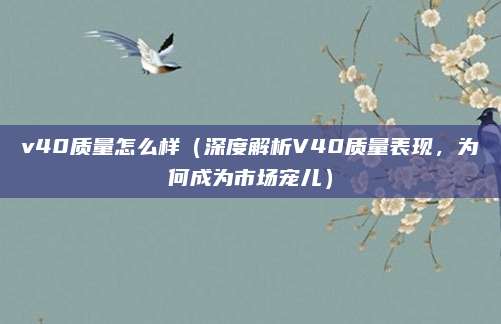 v40质量怎么样（深度解析V40质量表现，为何成为市场宠儿）