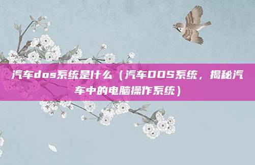 汽车dos系统是什么(汽车DOS系统,揭秘汽车中的电脑操作系统)