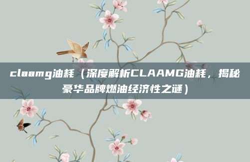 claamg油耗（深度解析CLAAMG油耗，揭秘豪华品牌燃油经济性之谜）