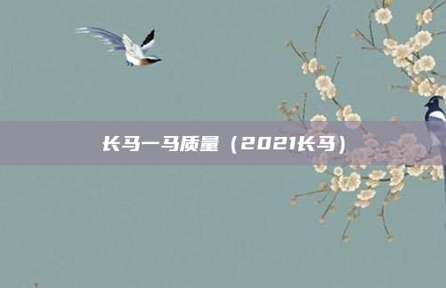 长马一马质量（2021长马）