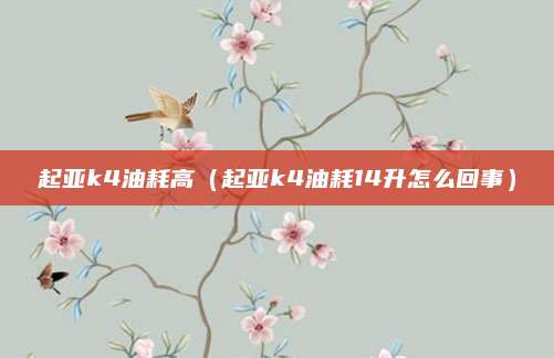 起亚k4油耗高（起亚k4油耗14升怎么回事）