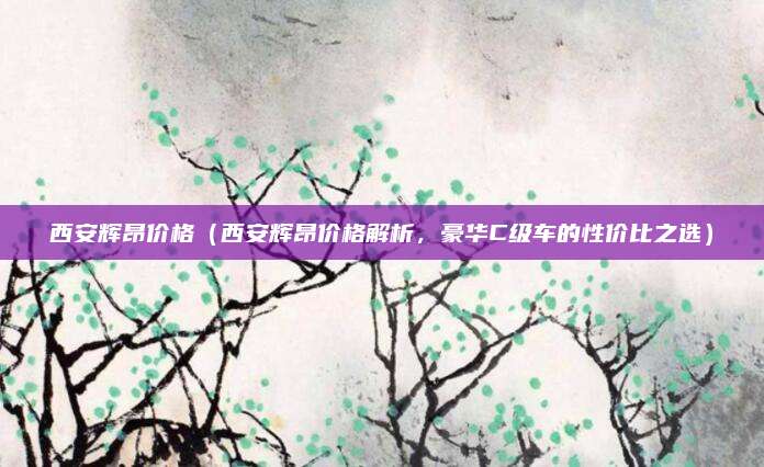 西安辉昂价格(西安辉昂价格解析,豪华C级车的性价比之选)