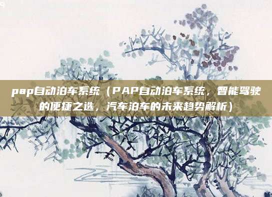 pap自动泊车系统(PAP自动泊车系统,智能驾驶的便捷之选,汽车泊车的未来趋势解析)
