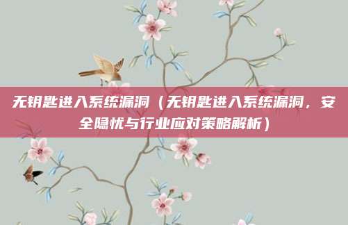 无钥匙进入系统漏洞（无钥匙进入系统漏洞，安全隐忧与行业应对策略解析）