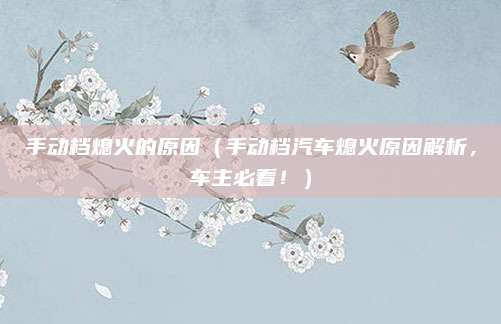 手动档熄火的原因(手动档汽车熄火原因解析,车主必看!)