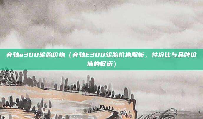 奔驰e300轮胎价格（奔驰E300轮胎价格解析，性价比与品牌价值的权衡）