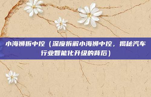 小海狮拆中控（深度拆解小海狮中控，揭秘汽车行业智能化升级的背后）