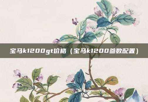 宝马k1200gt价格(宝马k1200参数配置)